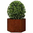 VIDAXL - vidaXL Jardinière Rouillé 60x60x45 cm Acier corten - vignette