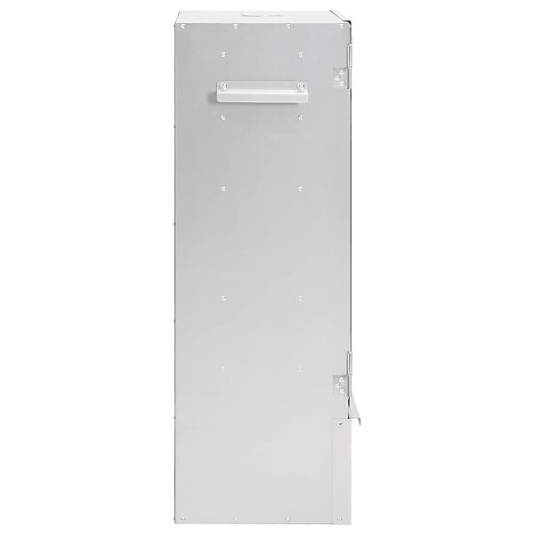 VIDAXL - vidaXL Fumoir à  four à  barbecue avec copeaux de bois 44,5x29x83 cm - large