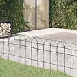VIDAXL - vidaXL Bordure de pelouse Fer enduit de poudre 25x0,4 m - vignette
