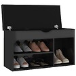 VIDAXL - vidaXL Banc à  chaussures et coussin Noir brillant Bois d'ingénierie - vignette