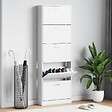 VIDAXL - vidaXL Meuble à  chaussures en bois avec 5 compartiments Blanc - vignette