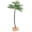VIDAXL - vidaXL Palmier à  LED 88 LED Blanc chaud 150 cm - vignette