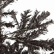 VIDAXL - vidaXL Sapin de Noël étroit Noir 180 cm - vignette