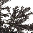 VIDAXL - vidaXL Sapin de Noël étroit Noir 240 cm - vignette