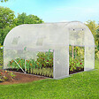 ID MARKET - Serre de jardin tunnel 6m² 3 x 2 x 2 m acier galvanisé + bâche anti-UV avec porte et fenêtres ROMA blanche toutes saisons - vignette