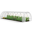 ID MARKET - Serre de jardin tunnel 24m² 8 x 3 x 2 m acier galvanisé + bâche anti-UV avec porte et fenêtres DES ANDES blanche toutes saisons - vignette