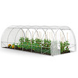 ID MARKET - Serre de jardin tunnel 18m² 6 x 3 x 2 m acier galvanisé + bâche anti-UV avec porte et fenêtres CRIMÉE blanche toutes saisons - vignette