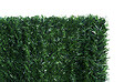 CASANOOV - Casanoov Haie Artificielle 10m PICO H.150  cm 129 brins - vignette