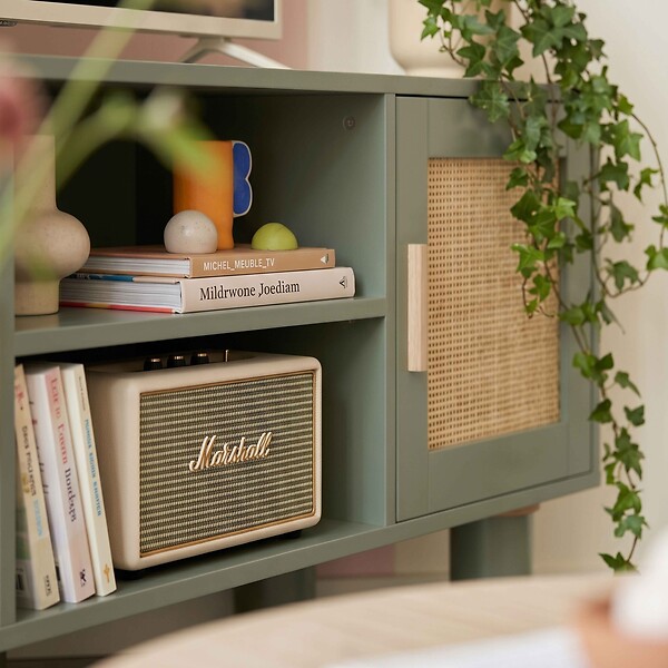 OVIALA - Meuble TV d'angle 120 cm en rotin synthétique scandinave vert foncé - Adam - large