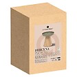 ATMOSPHERA - Table d'appoint "Hercyna" vert de gris D. 40 cm - vignette