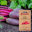 ASSOCIATION KOKOPELLI - Betterave Cylindra- Graines bio à semer - vignette