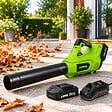 VITO - Souffleur de Feuilles Sans Fil 20V + Batterie 2Ah + Chargeur rapide 2 Vitesses Nettoyage Terrasse Allée Jardin VITO - vignette