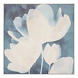 ATMOSPHERA - Toile Tery carré 48x48cm - vignette
