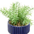 ATMOSPHERA - Plante artificielle Nippo avec pot en céramique - vignette