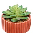 ATMOSPHERA - Plante artificielle Nippo avec pot en céramique - vignette