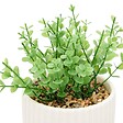 ATMOSPHERA - Plante artificielle Nippo avec pot en céramique - vignette