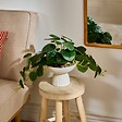 ATMOSPHERA - Plante artificielle Nippo H.29cm blanc - vignette