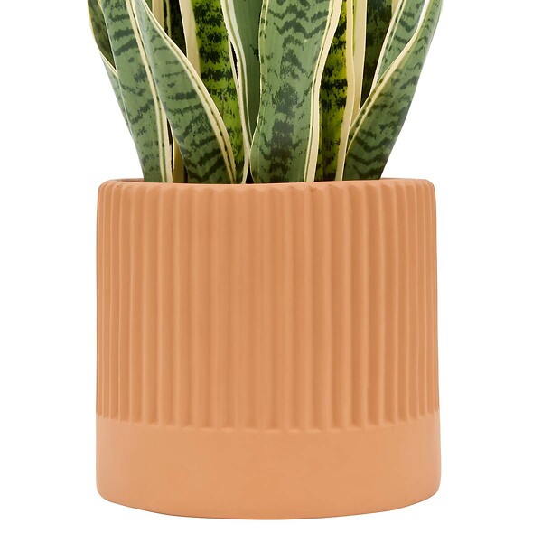 ATMOSPHERA - Plante artificielle Nippo H.78cm marron - large