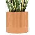 ATMOSPHERA - Plante artificielle Nippo H.78cm marron - vignette