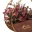 ATMOSPHERA - Plante artificielle Krist H.20cm marron - vignette