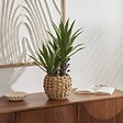 ATMOSPHERA - Agave artificiel Moda H.61cm vert - vignette