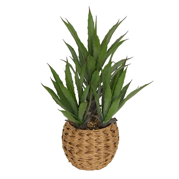 ATMOSPHERA - Agave artificiel Moda H.61cm vert - large