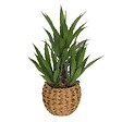 ATMOSPHERA - Agave artificiel Moda H.61cm vert - vignette