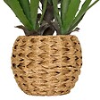 ATMOSPHERA - Agave artificiel Moda H.61cm vert - vignette