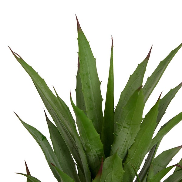 ATMOSPHERA - Agave artificiel Moda H.61cm vert - large