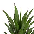ATMOSPHERA - Agave artificiel Moda H.61cm vert - vignette