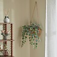ATMOSPHERA - Plante suspendue Mona H.75cm vert - vignette