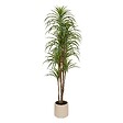 ATMOSPHERA - Dracena vert Edi H.180cm avec pot blanc - vignette
