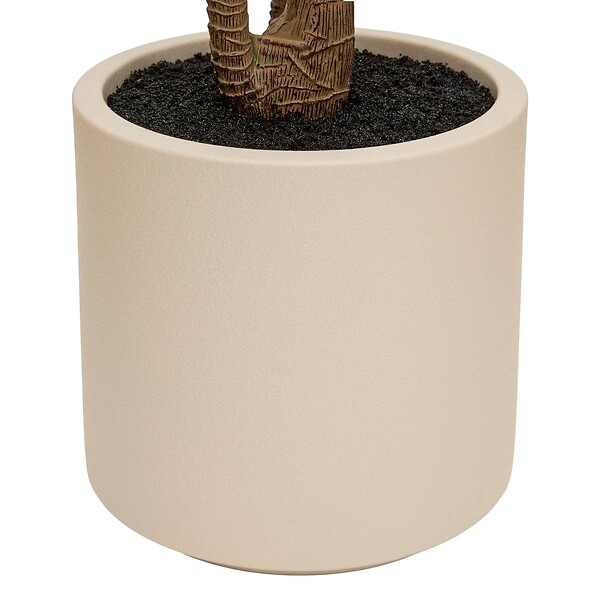 ATMOSPHERA - Dracena vert Edi H.180cm avec pot blanc - large
