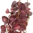 ATMOSPHERA - Plante artificielle Lour H.40cm rouge - vignette