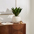 ATMOSPHERA - Agave artificiel Posa H.58cm vert - vignette
