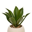 ATMOSPHERA - Agave artificiel Posa H.58cm vert - vignette