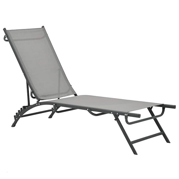 VIDAXL - vidaXL Chaises longues lot de 2 Textilène et acier - large