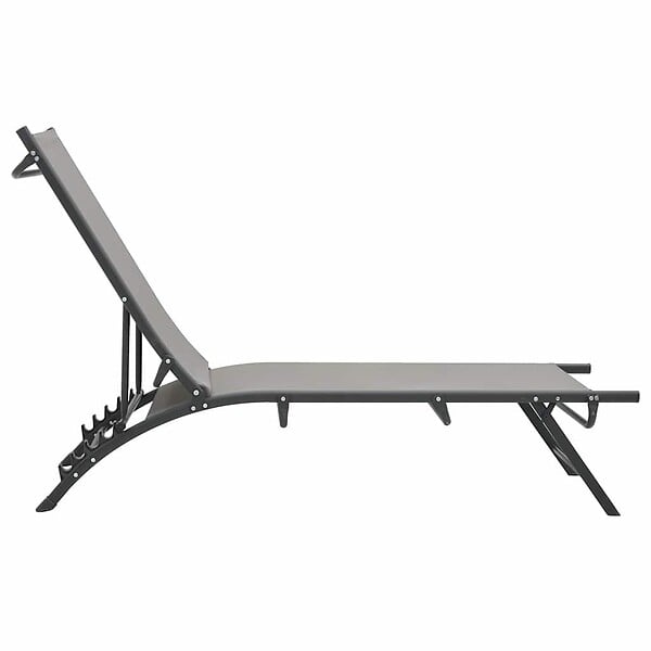 VIDAXL - vidaXL Chaises longues lot de 2 Textilène et acier - large