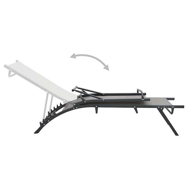 VIDAXL - vidaXL Chaises longues lot de 2 Textilène et acier - large