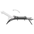 VIDAXL - vidaXL Chaises longues lot de 2 Textilène et acier - vignette