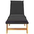 VIDAXL - vidaXL Chaises longues et coussins lot de 2 Résine tressée et acacia - vignette
