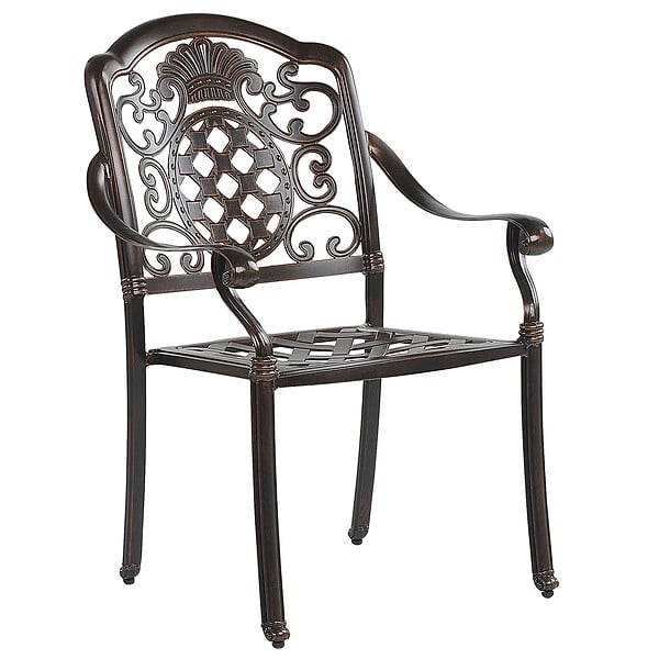 BELIANI - Lot de 4 chaises de jardin avec coussins SALENTO Métal Marron foncé - large
