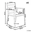 BELIANI - Lot de 6 chaises de jardin avec coussins TAVIANO Métal Noir - vignette