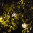 LUMISKY - Guirlande connectable PARTY CLEAR 20 globes 8.7M - vignette