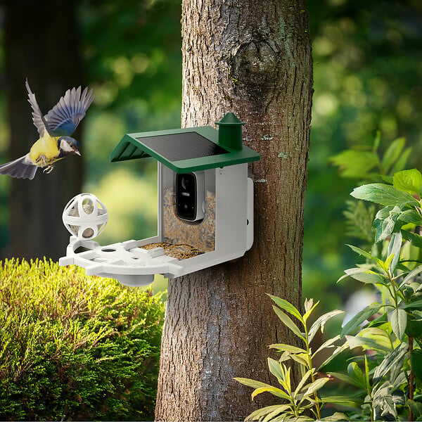 AVIDSEN - Mangeoire intelligente connectée sans fil, solaire - Smart Birdfeeder - Avidsen - 127164 - large