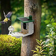 AVIDSEN - Mangeoire intelligente connectée sans fil, solaire - Smart Birdfeeder - Avidsen - 127164 - vignette