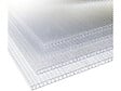 HABITAT ET JARDIN - Lot de 10 panneaux en polycarbonate 4 mm "Michigan" 7,9 m2 - vignette