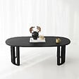 HABITAT ET JARDIN - Table basse en bois "Elysia" - 120 x 60 x 40 cm - Noir - vignette