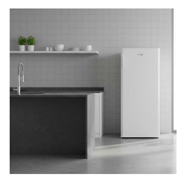 FAGOR - Réfrigérateur 1 Porte 55cm 242l Blanc - FUPP242RSDB - large