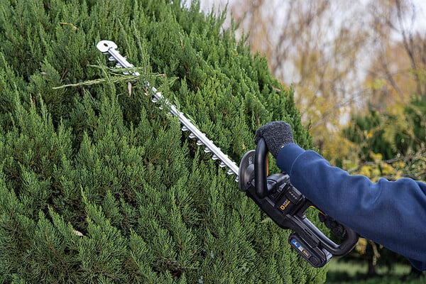 BESTGREEN - Taille-haies à batterie TBH 20 - 20V / 55cm - large